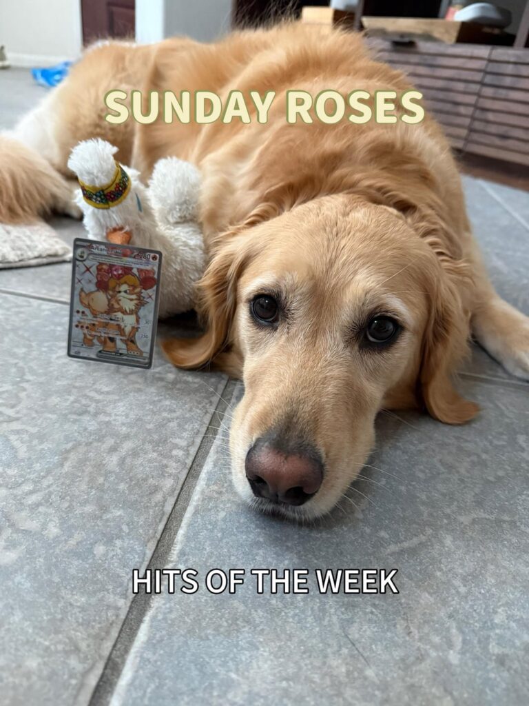 Rosie’s best pokemon hits of the week!