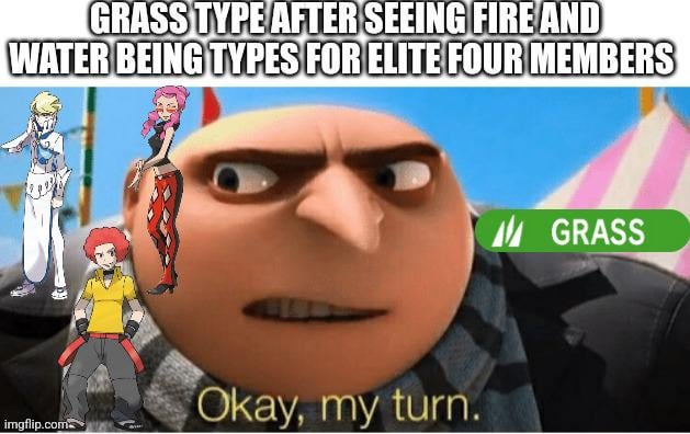 You think there'll ever be a Grass type Elite Four member?