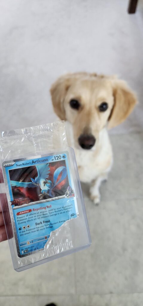 Happy Destined Rivals release! My dog loved my Best Buy promo 🥲