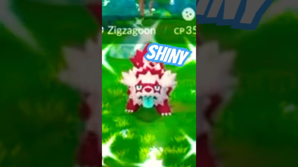 Encountering shiny Zigzagoon family with a bonus catch (Pokemon GO) #jaysonnation #pokemon