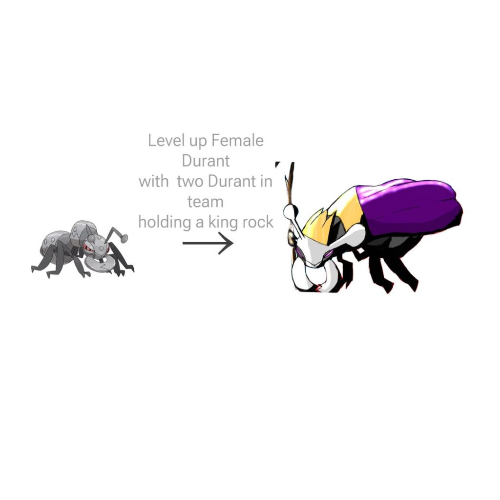 Here is Regant A New Evolution for Durant