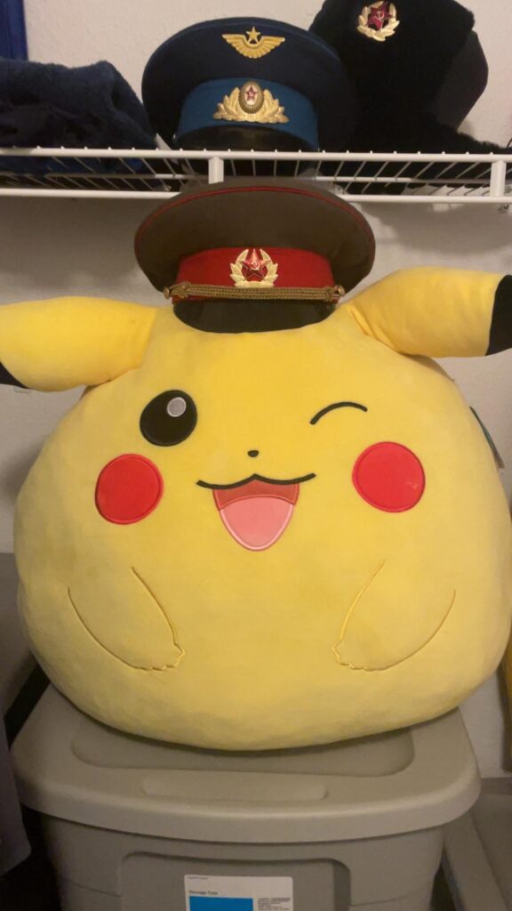 My friends keep telling me this pikachu plush in my closet has big potential around here. I share his love with you all now.