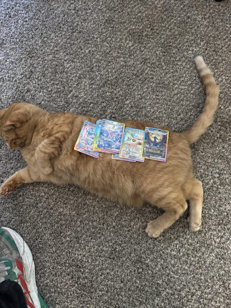 I have never opened prismatic cause I can’t find any anywhere. Cat brought these home what now?