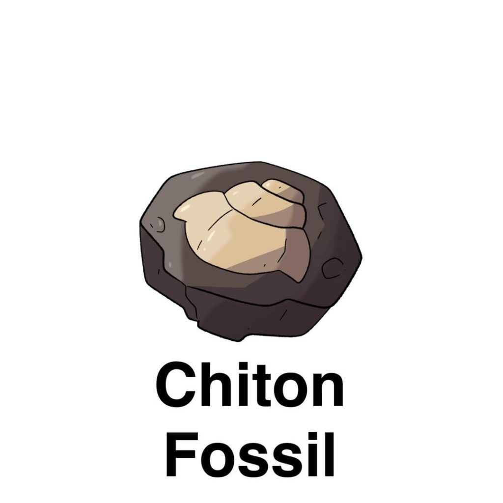 One of the first, soon to be many, fossil Pokémon for my homebrew region.