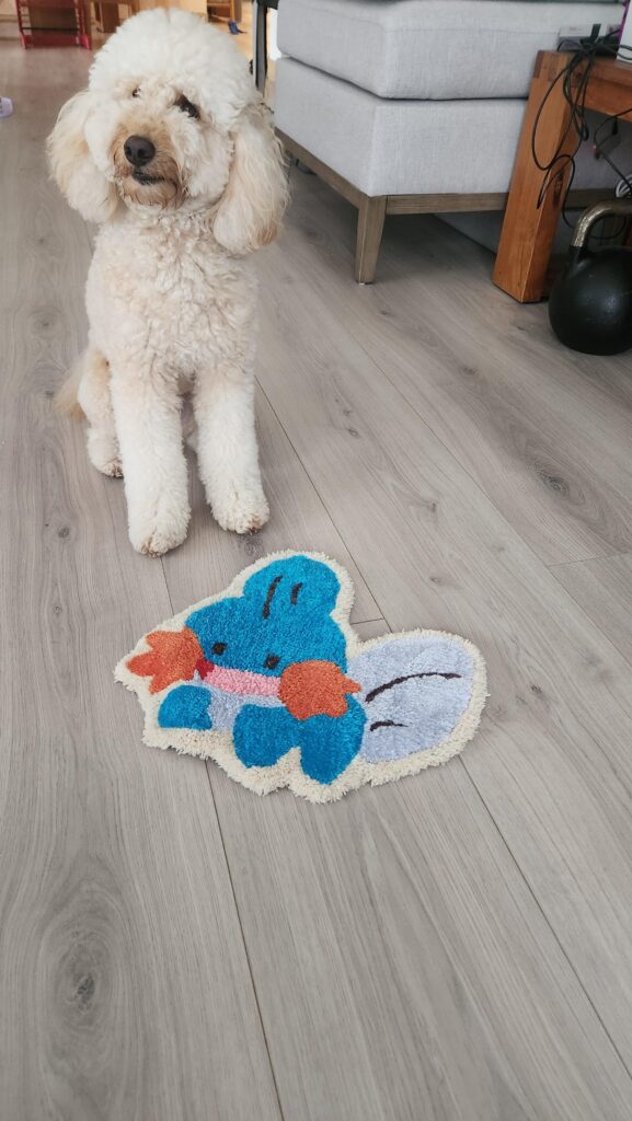Mudkip Rug