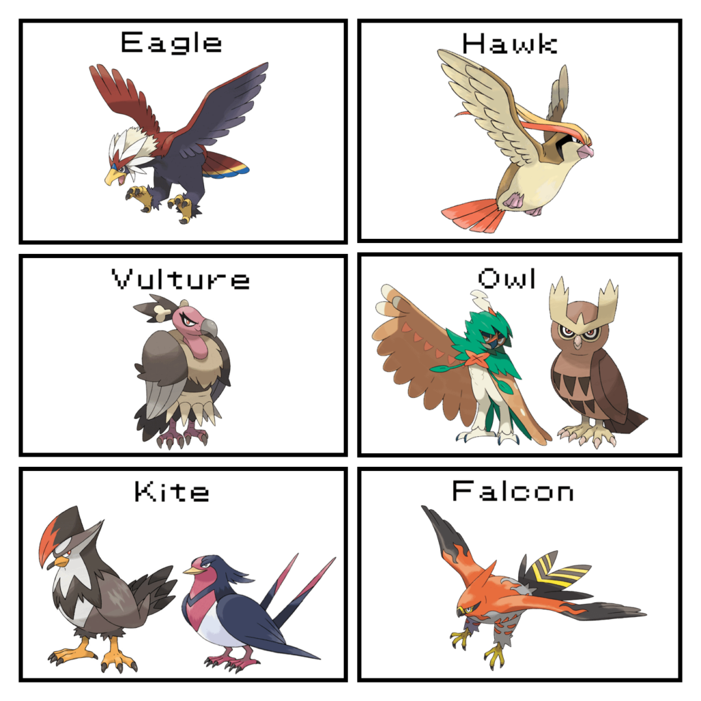 As a bird lover, I tried categorizing all the Pokémon birds of prey based on their physical features. (Some are more obvious than others)