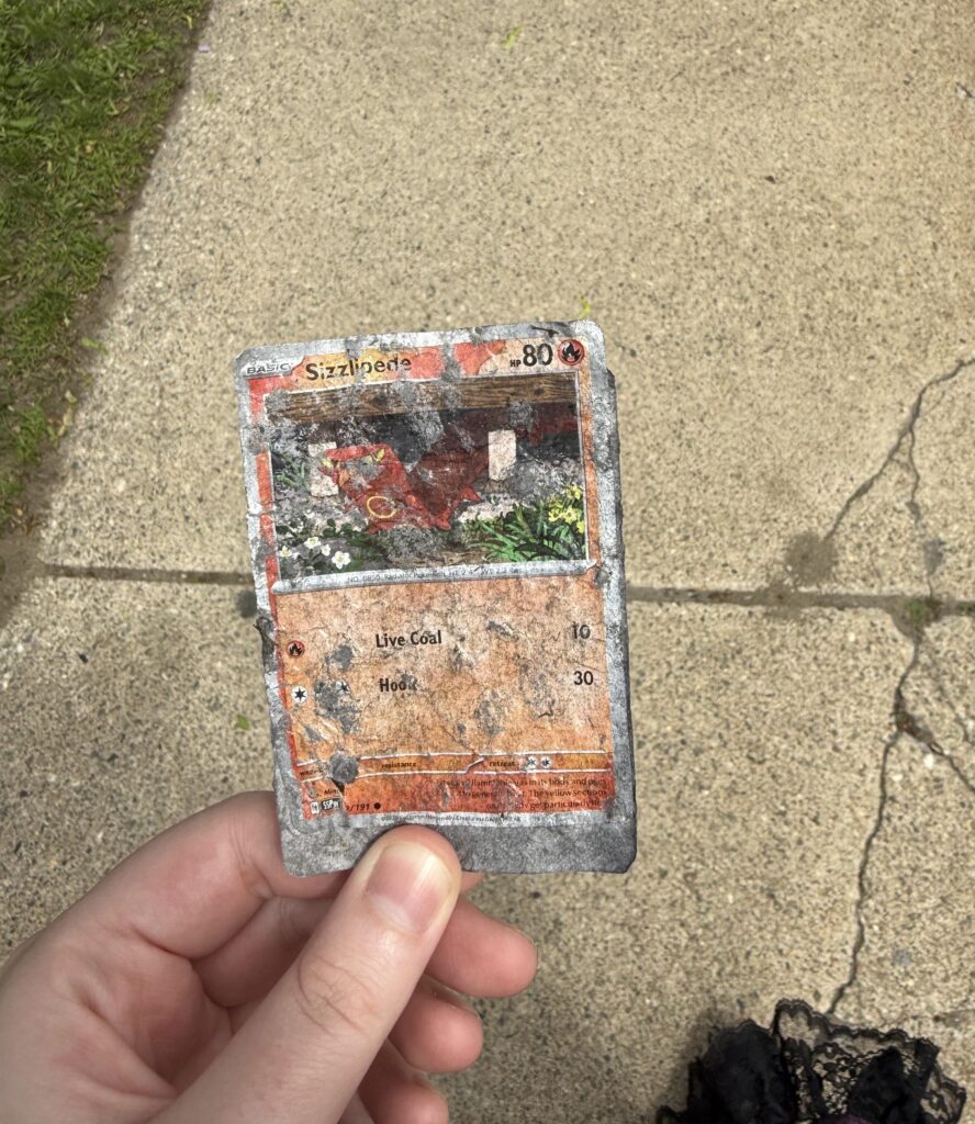 Sizzlipede I found on the side of the road today