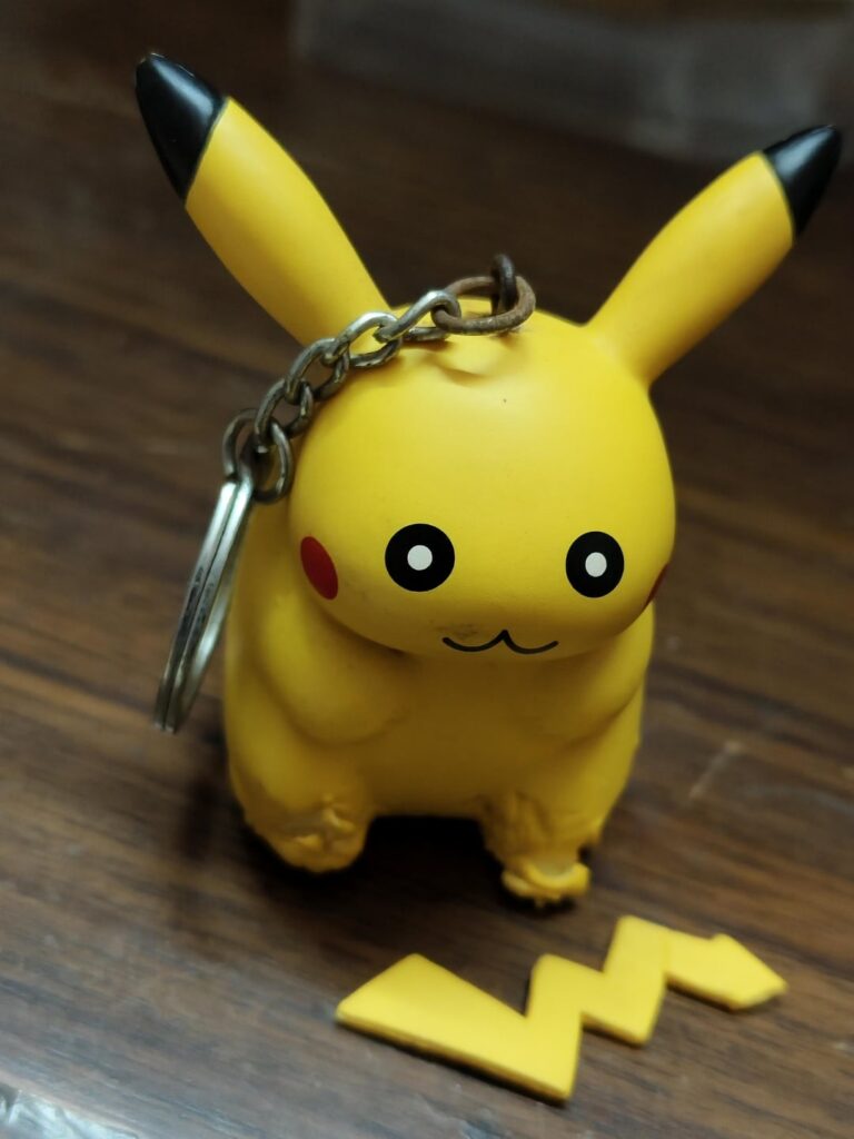 Is this available for purchase? Anywhere on the earth? My dog destroyed it.