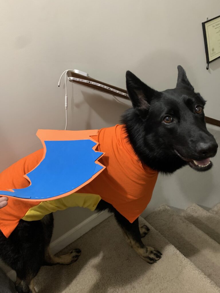 Can u tell what her costume is?