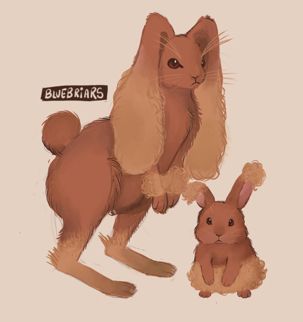 drawing semi-realistic pokemon pt 2 - lopunny and buneary 🐰 which line do i draw next? [OC]