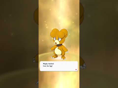 [Pokemon Masters Ex] : Shiny Magby & Shiny Chanmander come together - hatched from Eggs