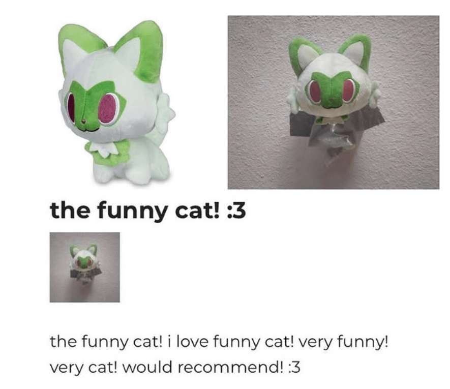 Best cat!