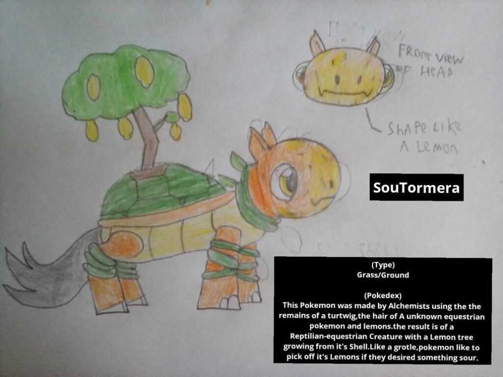 SouTormera  (Sour + Tortoise + Camera)
