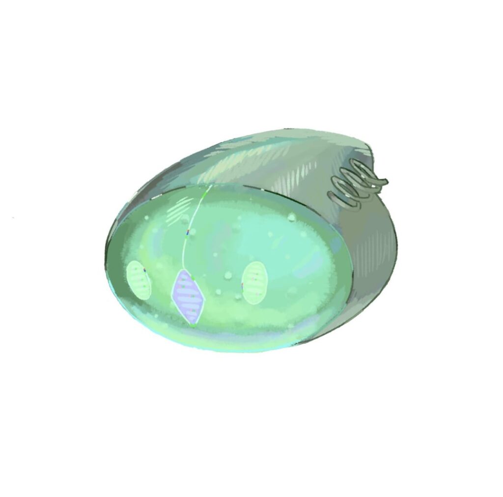 Future Reuniclus line :”)