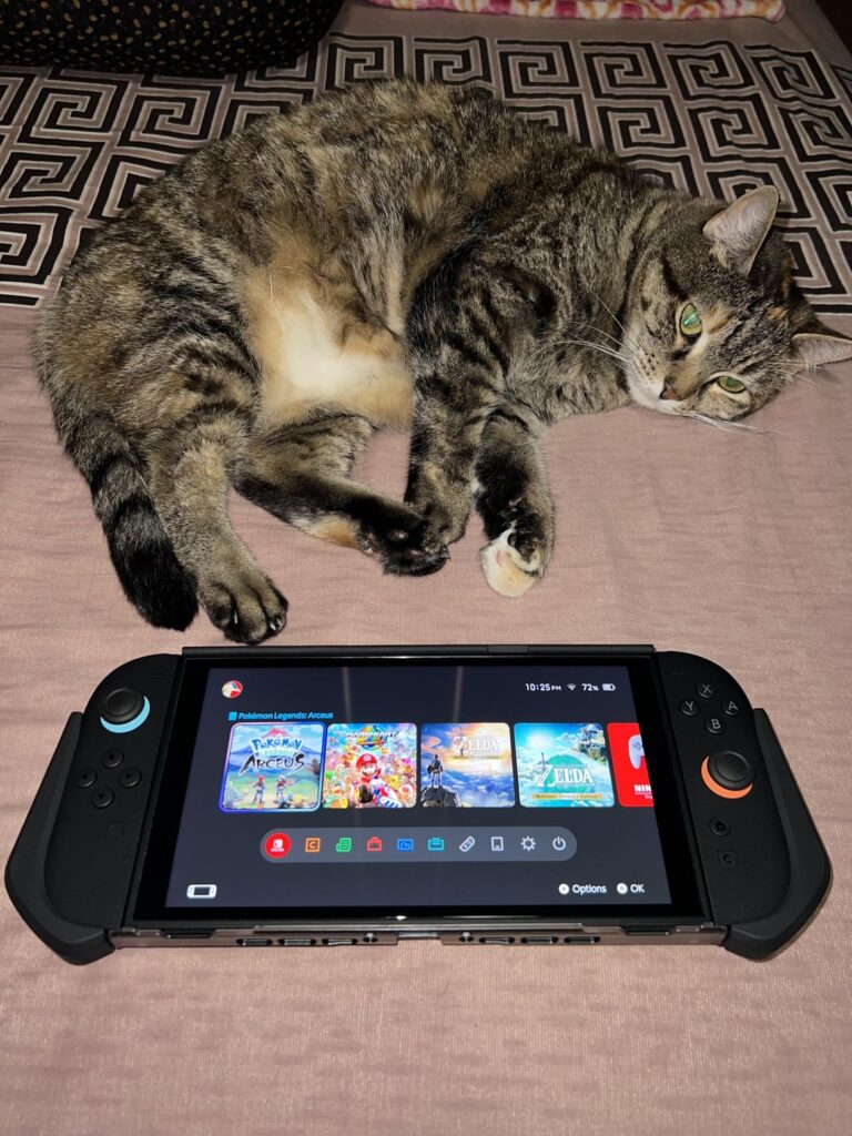 Switch 2 Mumba Blade Grip