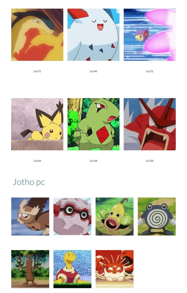 My pokemon in heart gold