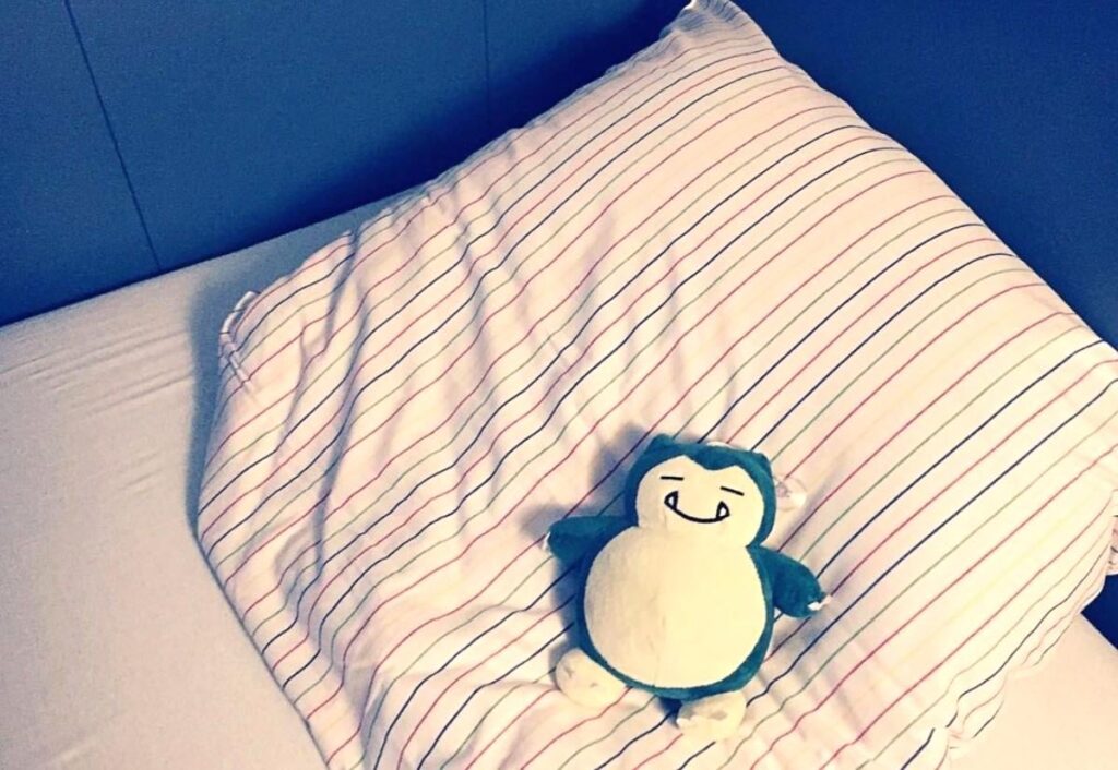 my first plushie, and the start of a collection