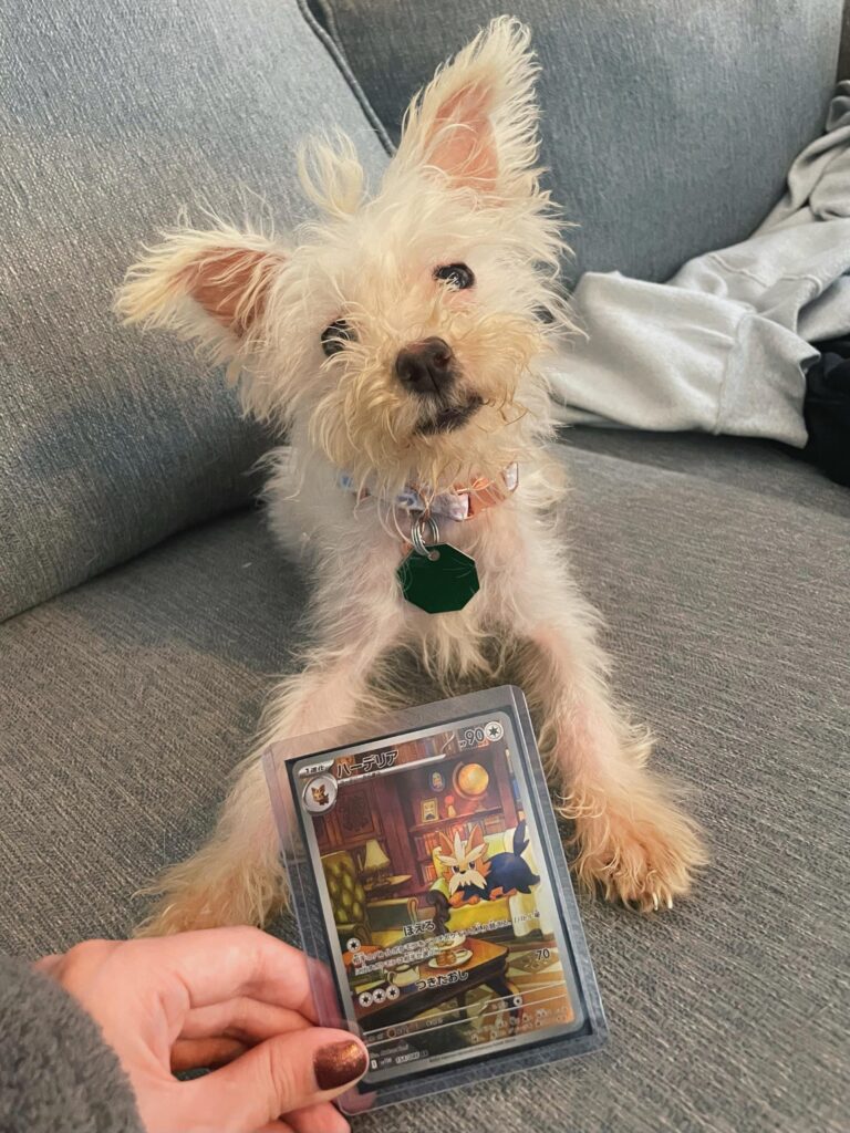 Yesterday I adopted Clover, today she showed up in my pulls too.