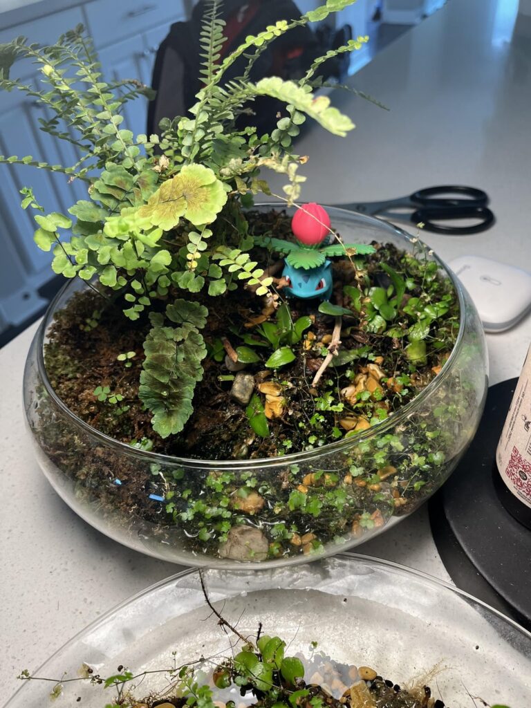 Terrariums