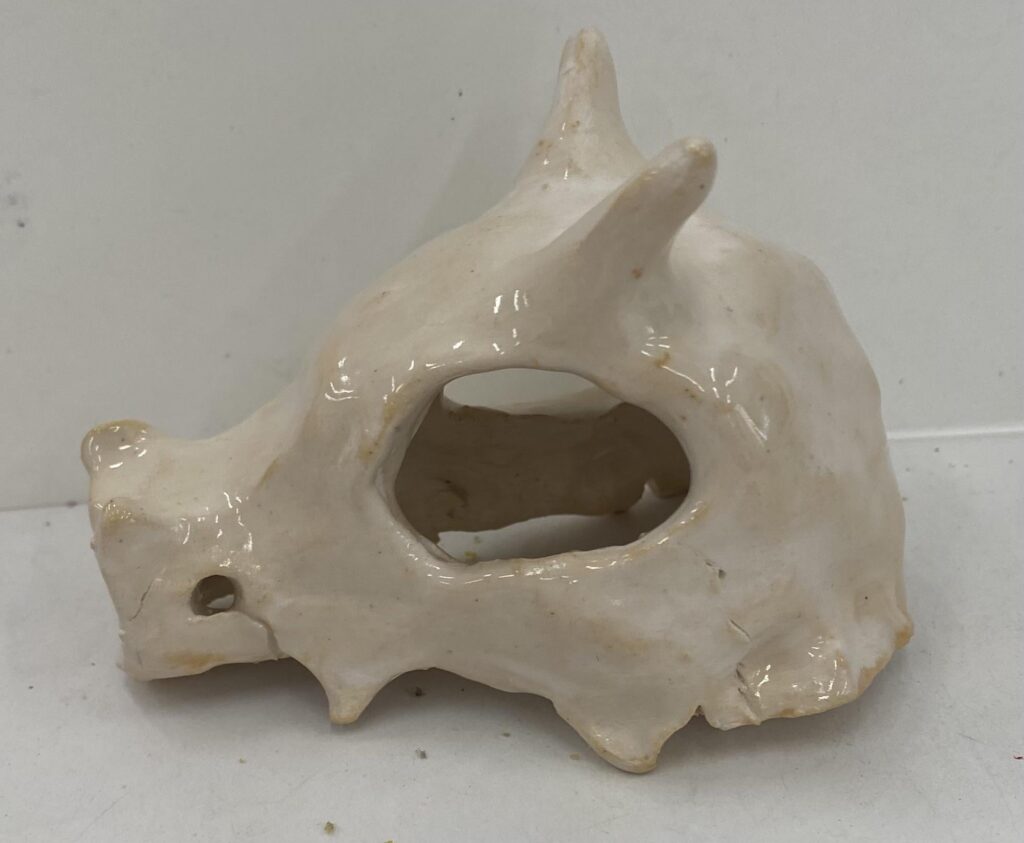 Cubone!