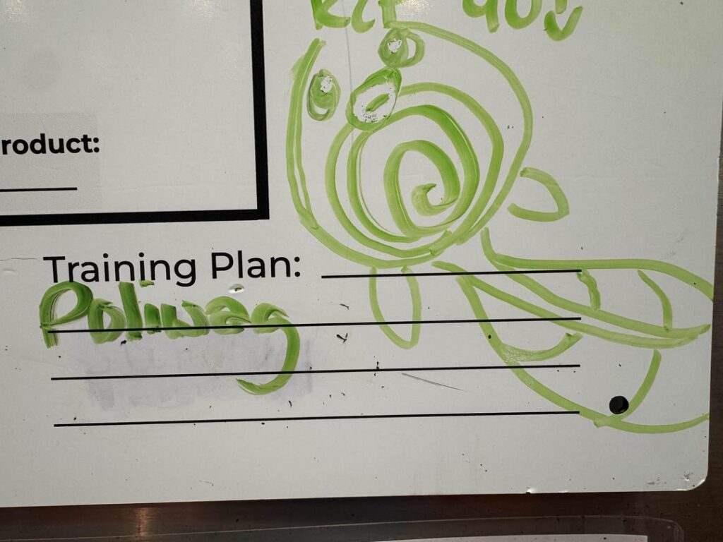 Pokémon of my work day