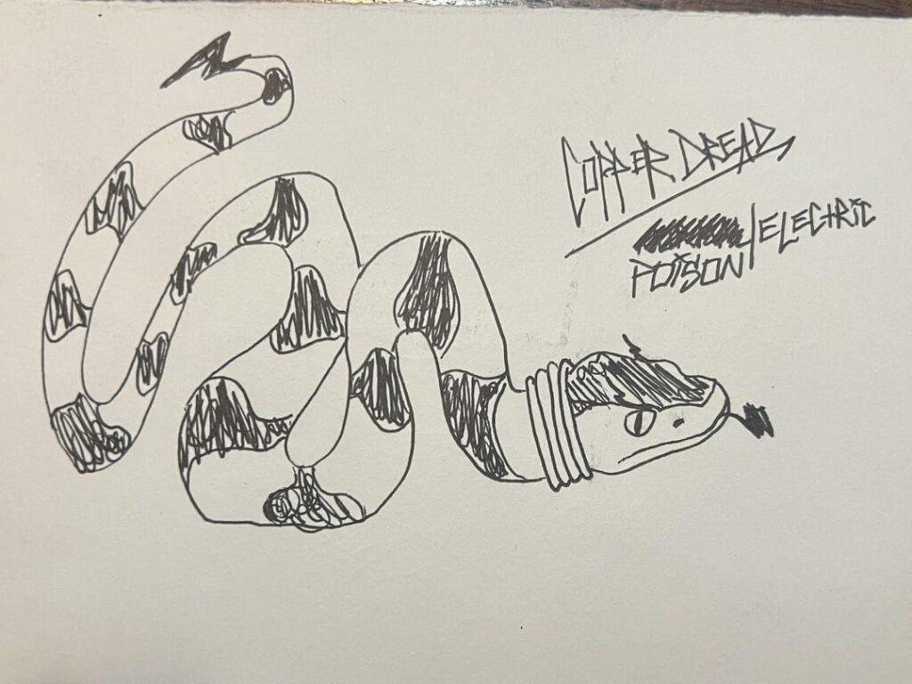 Copperdread, the poison/electric type pit viper pokemon!