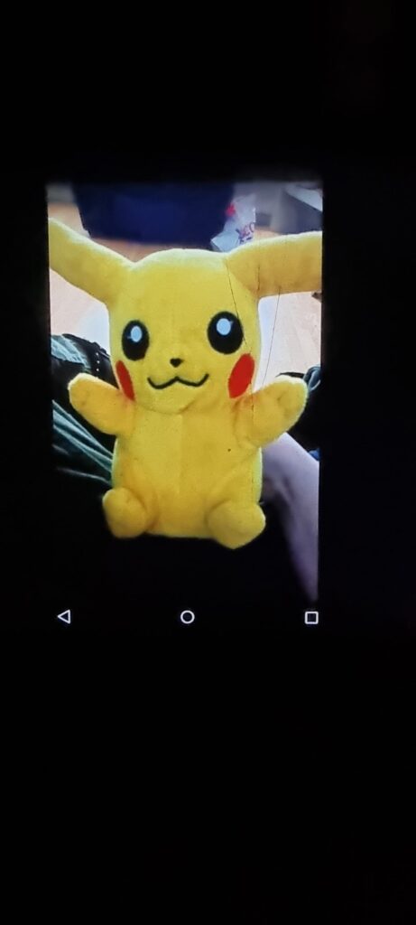 searching for pikachu plush