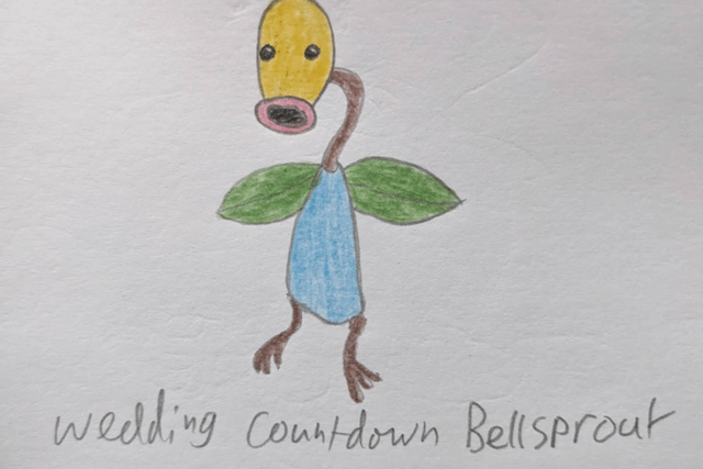Bellsprout line in a nice dress for the wedding