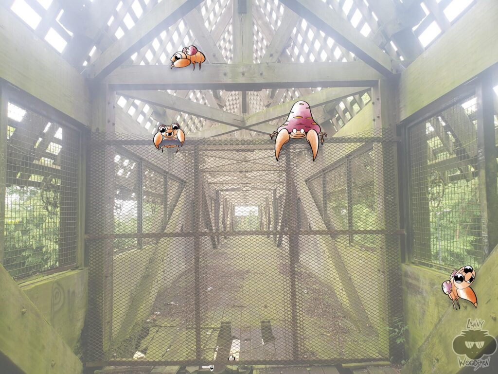 day 14 to take a photo of my city and draw a pokemon on it (oc)