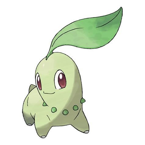 Has there ever been a starter that was shafted harder than Chikorita?