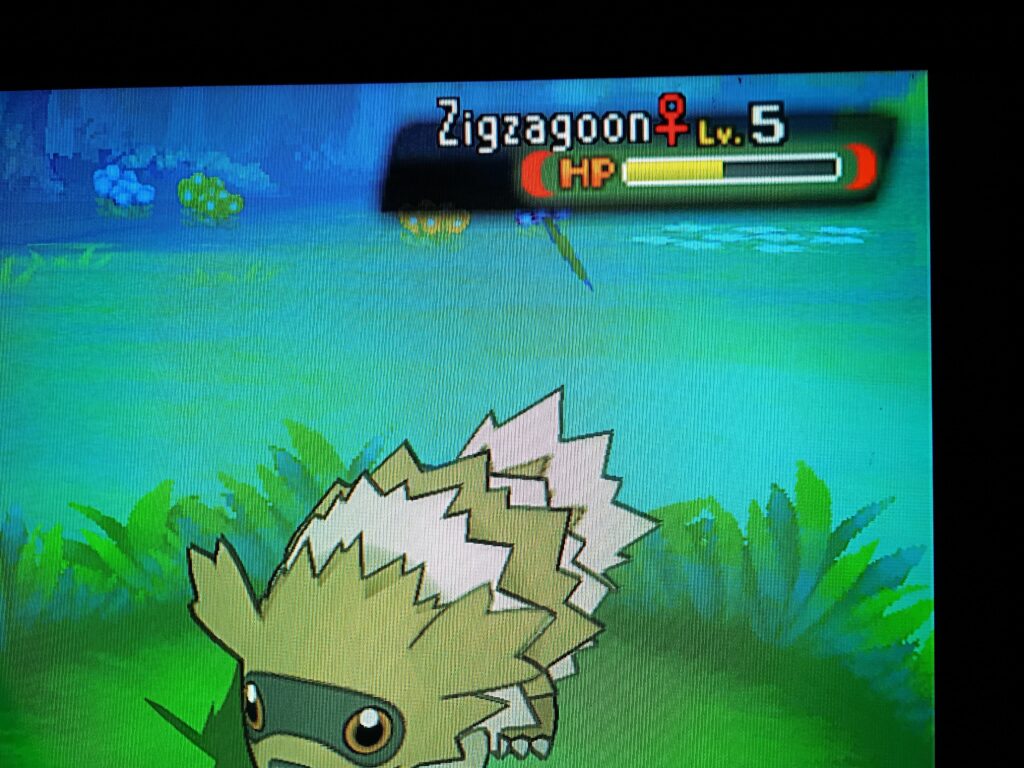Zigza WHAT