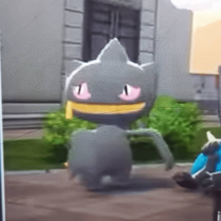 Banette my beloved