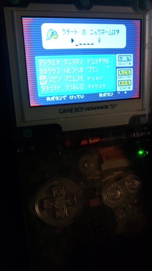 What do you all name your pokemon in the japanese copies?