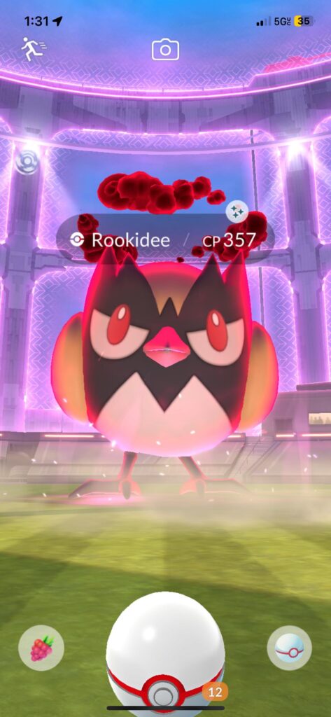 Showing off today’s max raid catch before everyone owns a shiny Rookidee next month