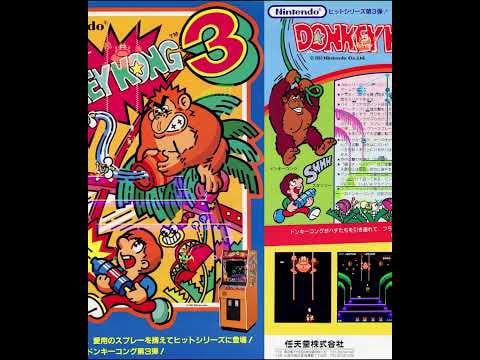 Donkey Kong 3 1983 Arcade Live FLYER