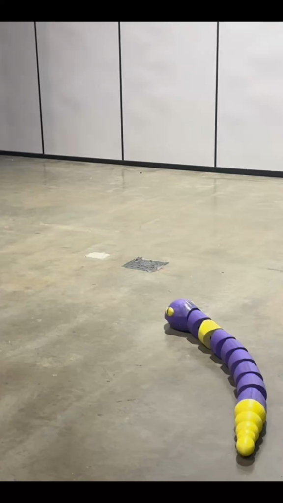 My animatronic Ekans made his public debut