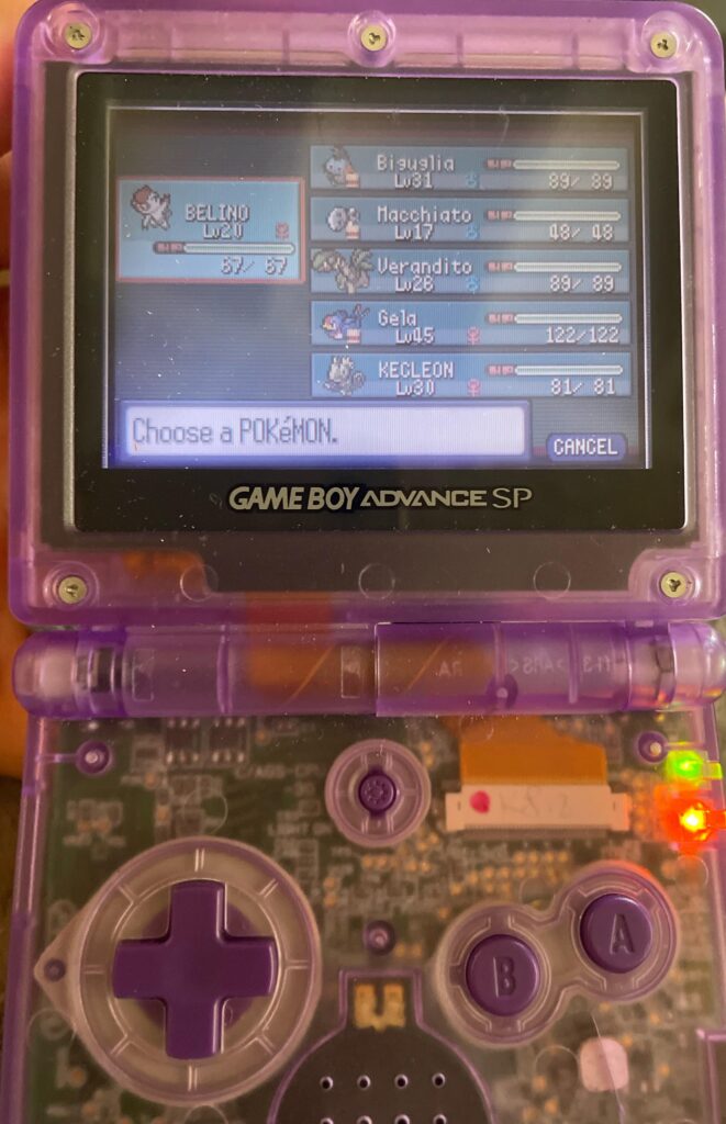 Is it possible to defeat tate and liza with this team? (Pokemon Saphire)