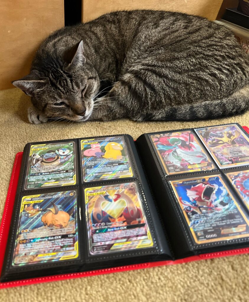Sorting through my collection with Kitty