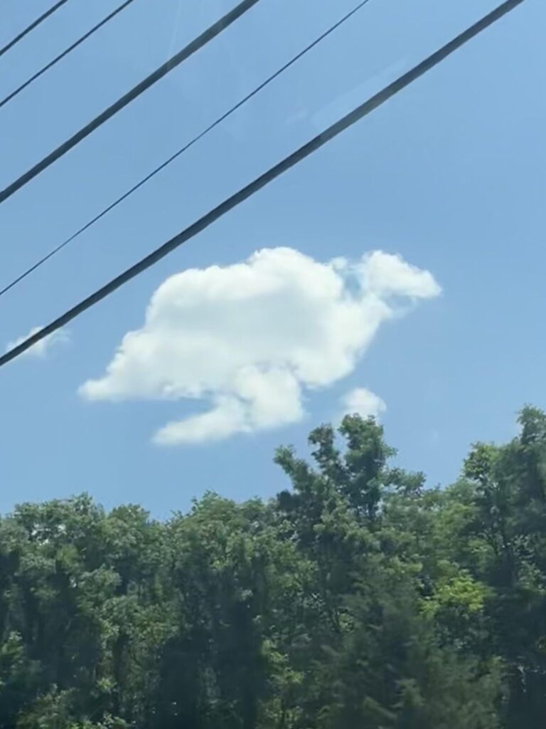 Is it just me or does this cloud look like Lapras
