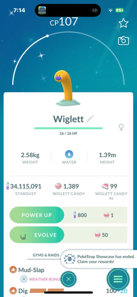Shiny Wiglett Confirmation