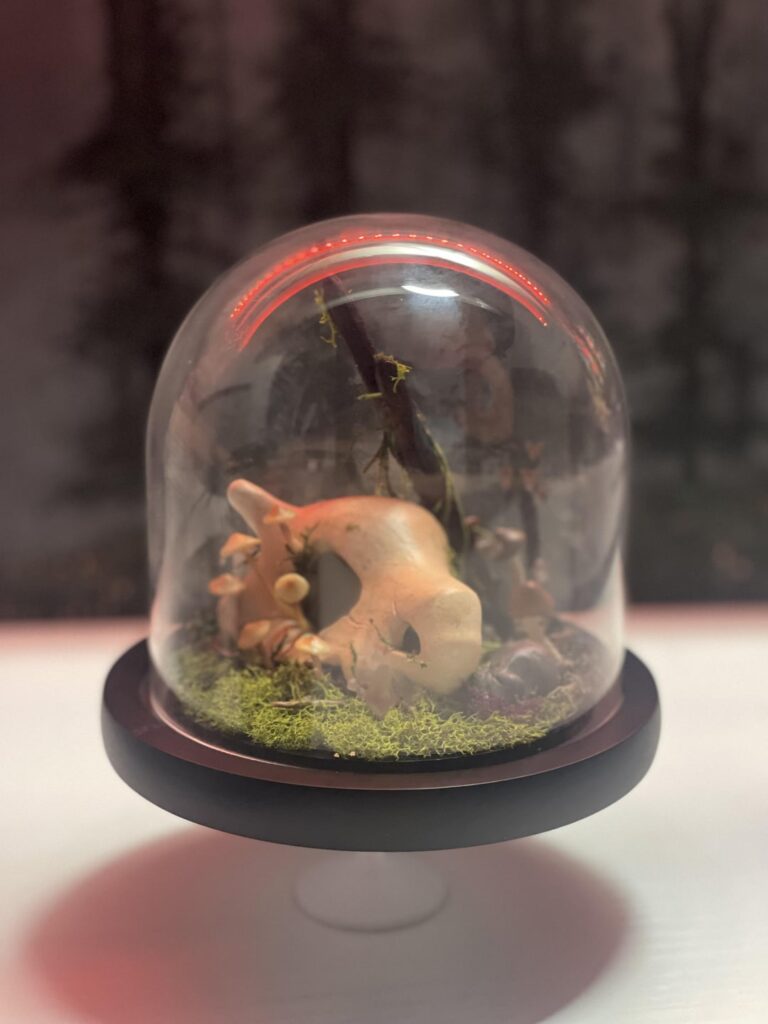 faux cubone terrarium i made!