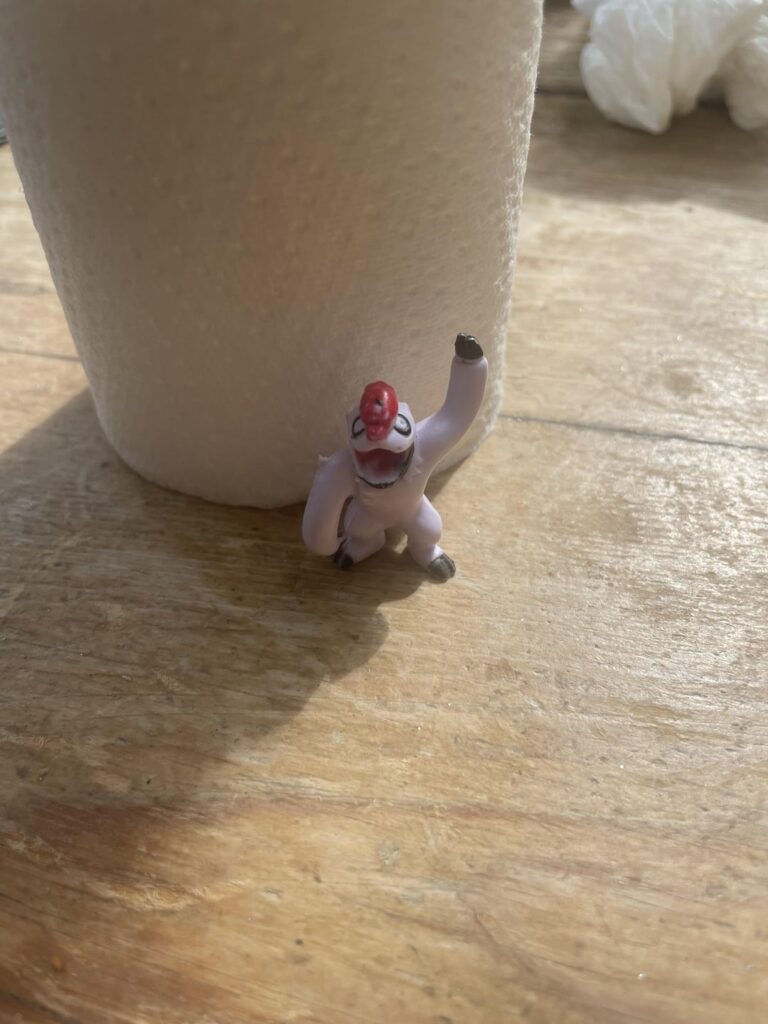 These cursed Pokemon figurines lol