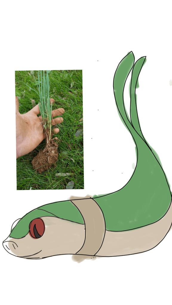 Convergent Ekans