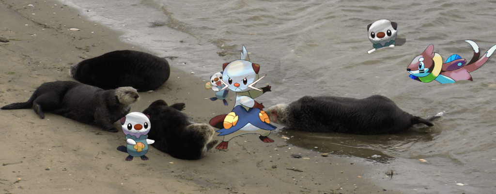 Oshawott, and other otter pokemon, with real otters