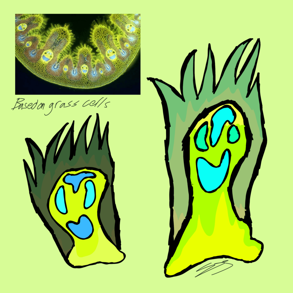 Any name and/or type suggestions?