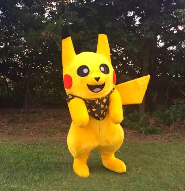 [OC] A wild Pikachu appears!