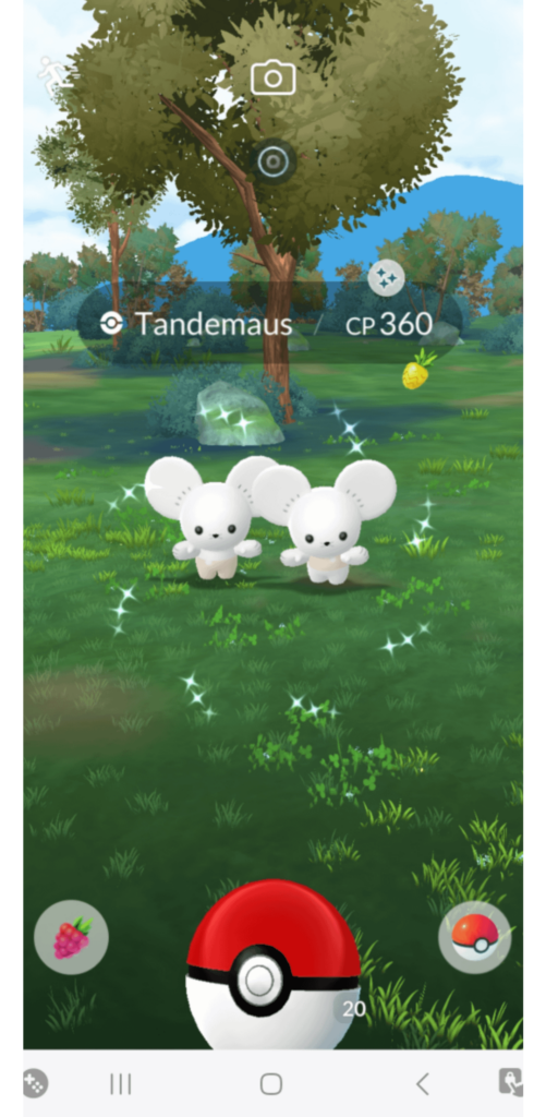 Shiny Tandemaus Confirmation