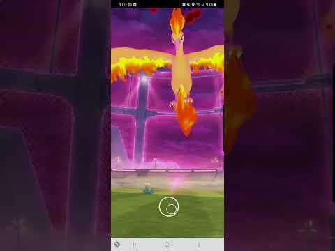 Dynamax Moltres Solo - Shroomless - No Gmax - No Weatherboost