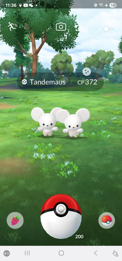 Woow shinyyy Tendemaus
