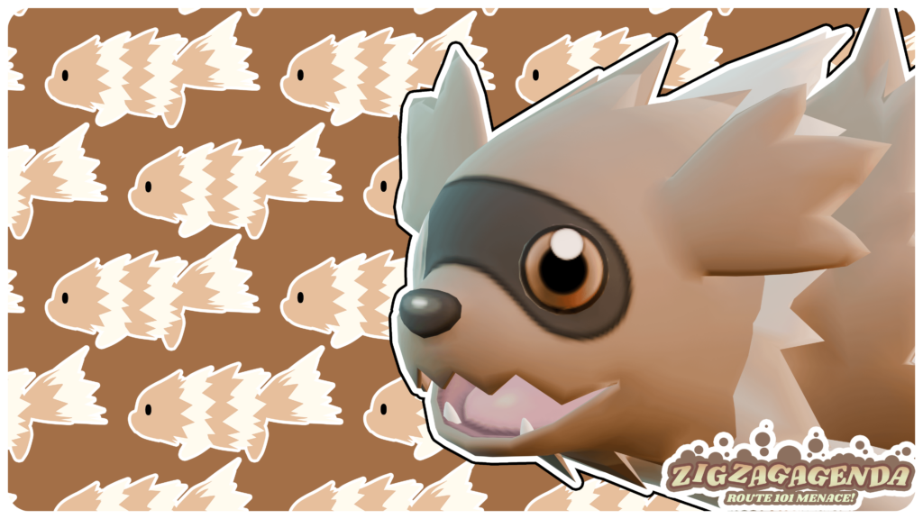 Aw ye its Zigzagoon time!